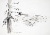 rad Slobodanke Rakić Šefer